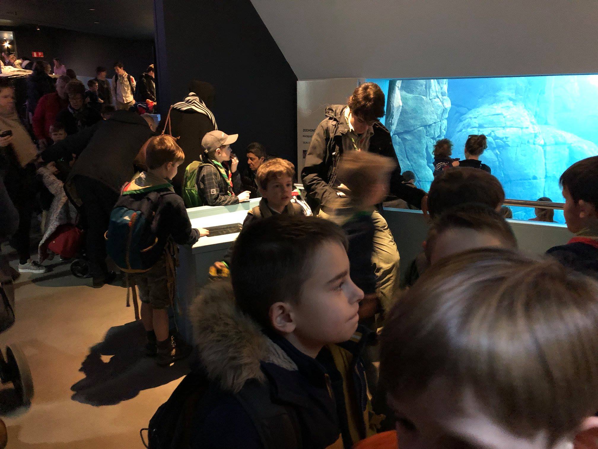 Sint-Martinus den XIIde - Zoo Antwerpen Kapoenen